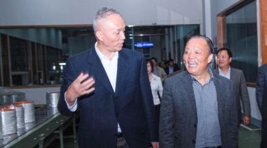 2010年11月，時(shí)任浙江省委常委、組織部長蔡奇到中國巨石視察。他對企業(yè)立足浙江、走向世界的做法給予肯定和鼓勵(lì)，希望企業(yè)積極開展?fàn)幃?dāng)“發(fā)展強(qiáng)、黨建強(qiáng)”先進(jìn)企業(yè)活動(dòng)，為企業(yè)科學(xué)發(fā)展注入動(dòng)力，以黨內(nèi)創(chuàng)先帶動(dòng)企業(yè)創(chuàng)先，讓企業(yè)創(chuàng)先爭優(yōu)形成長效機(jī)制。